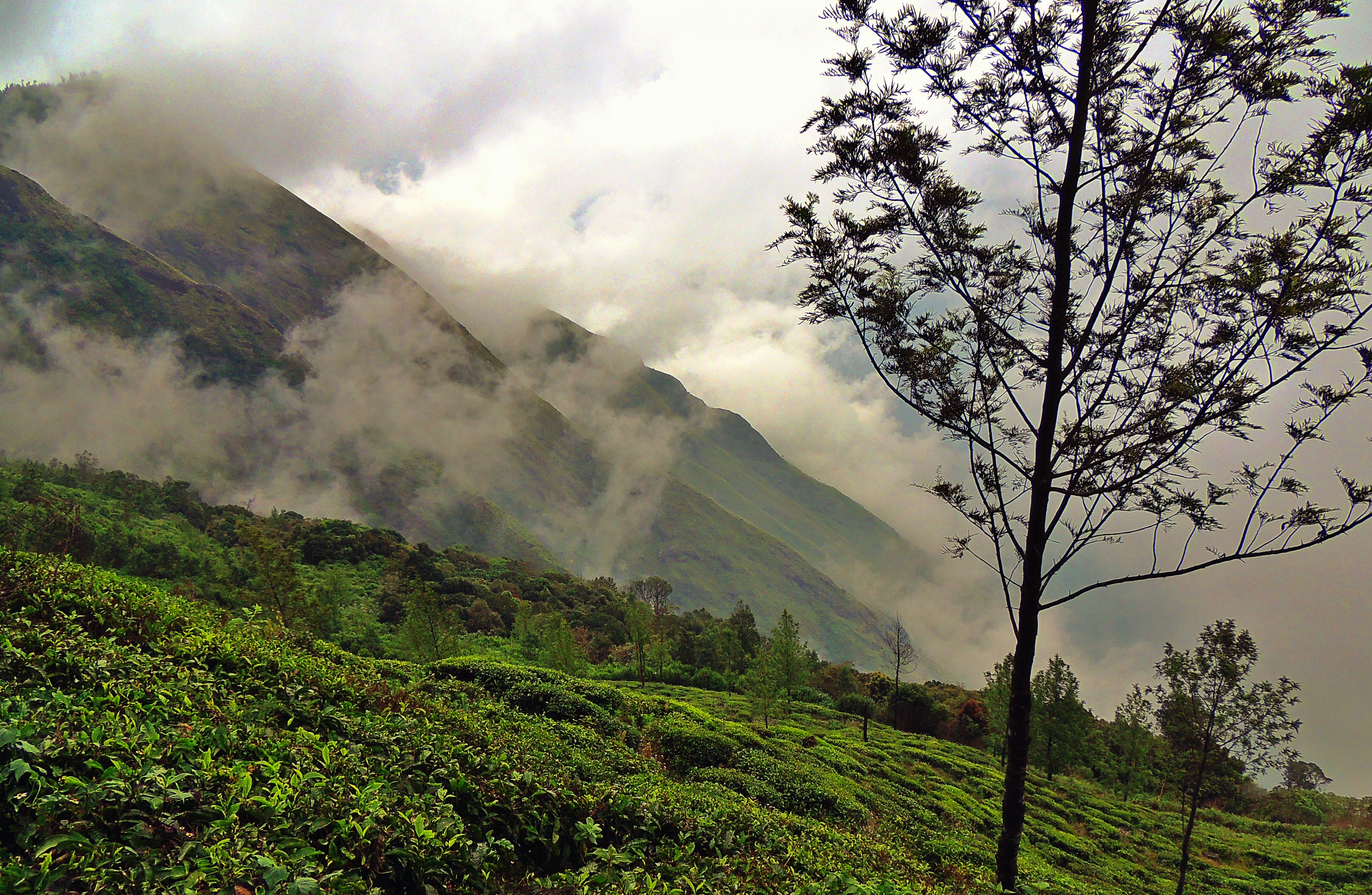 best time to visit munnar