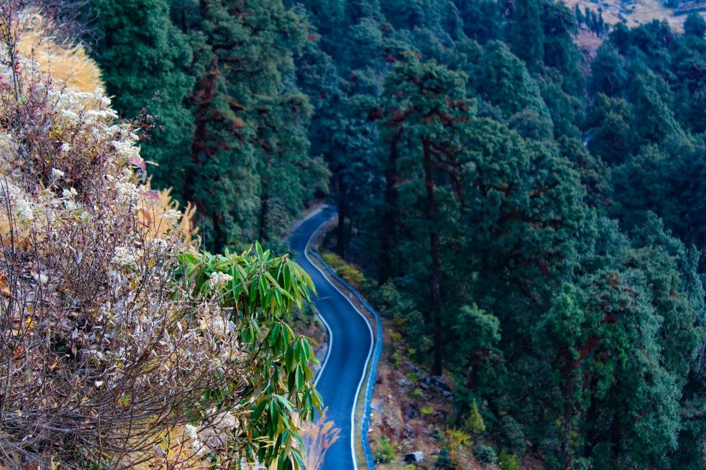 Road to Chopta - Deoriatal Chandrashila Trek
